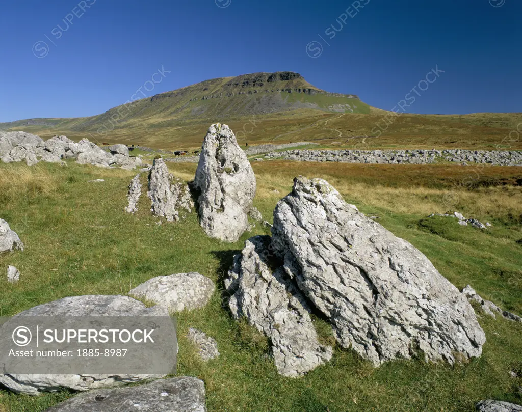 UK - England, Yorkshire, Ribblesdale, Limestone boulders on path up Pen-Y-Ghent