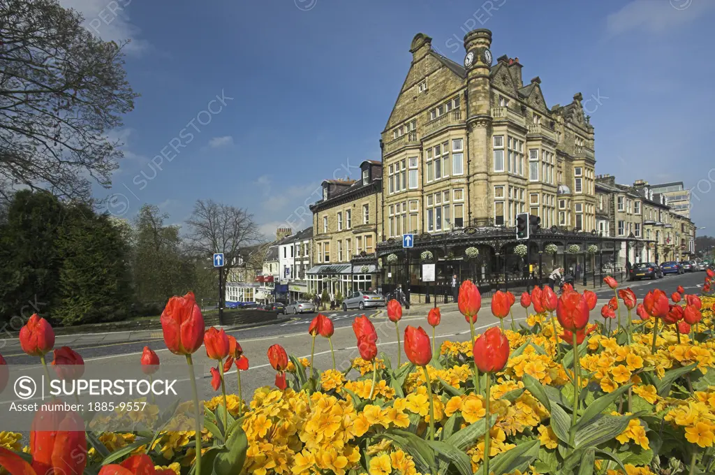 UK - England, Yorkshire, Harrogate, View over spring flowers to Betty's Tea Rooms