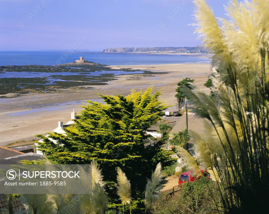 UK - Channel Islands, Jersey, St Ouen's Bay, View to Rocco Tower with pampas grass in bloom in the foreground