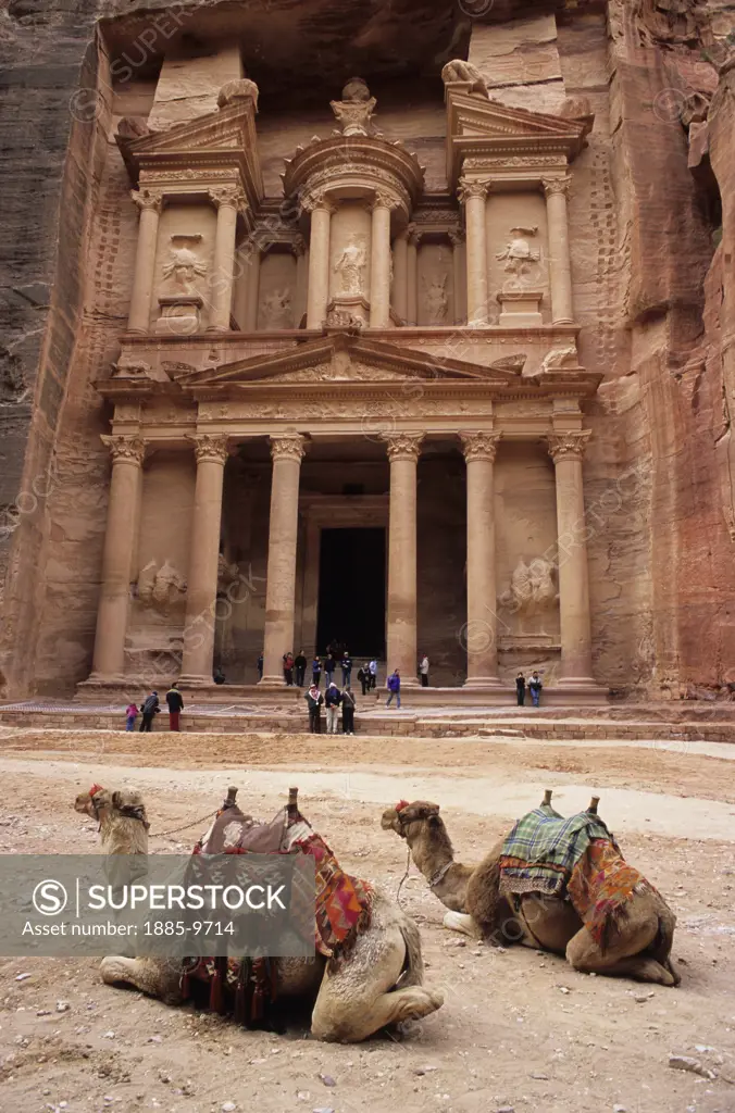 Jordan, , Petra, Camels outside The Library in the ancient Rose City