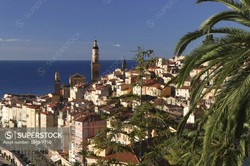 France, Cote d'Azur, Menton, Basilica St Michel and overview of town
