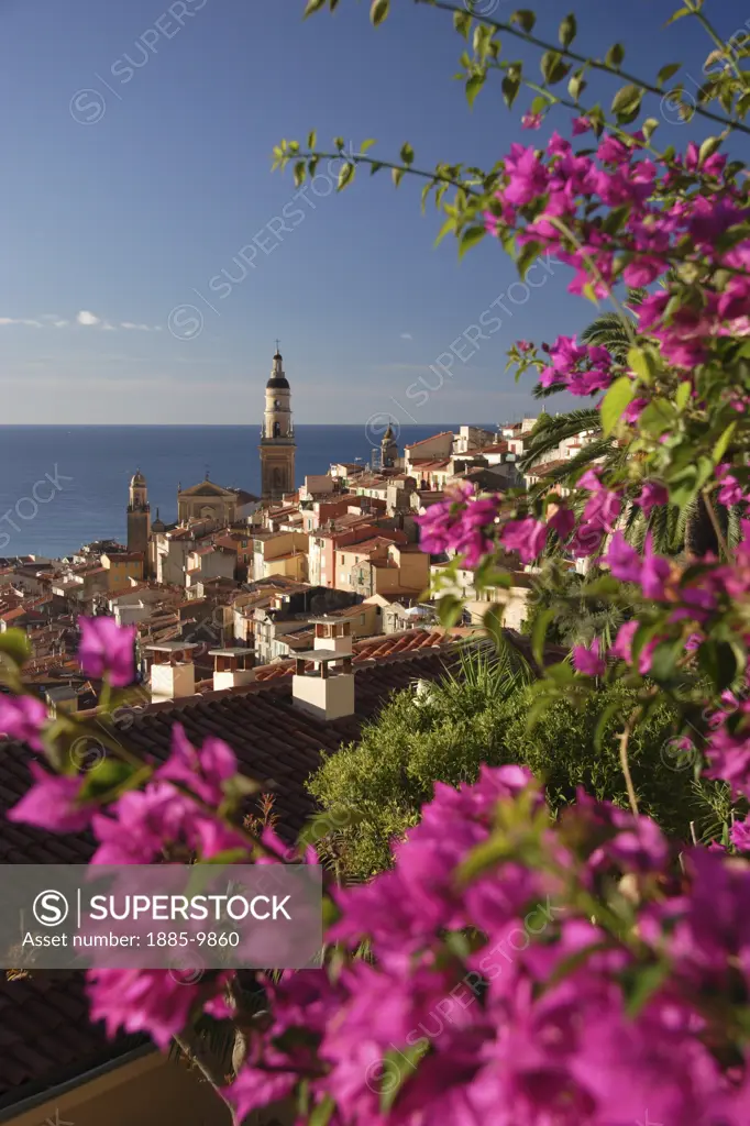 France, Cote d'Azur, Menton, View of town and Basilica St Michel framed by flowers