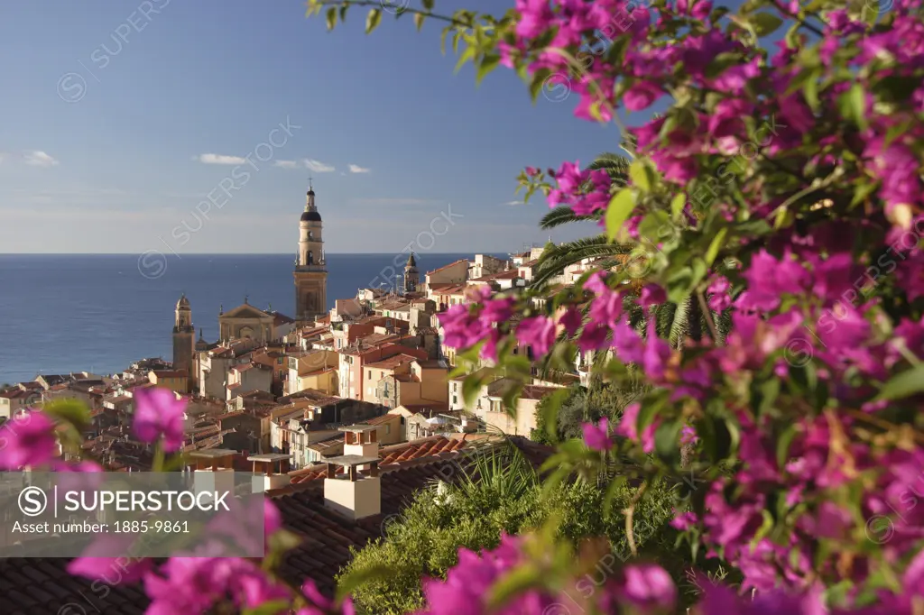 France, Cote d'Azur, Menton, View of town and Basilica St Michel framed by flowers