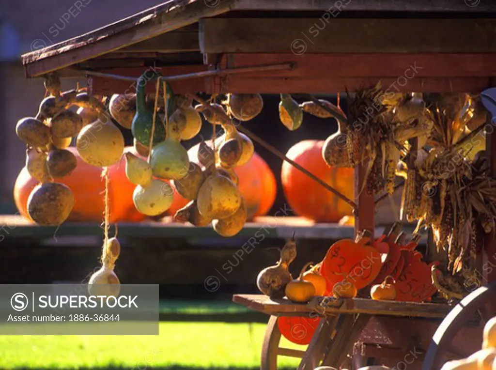 Gourds displayed at a roadside farmers market, harvest time in Lancaster County, Pennsylvania, USA