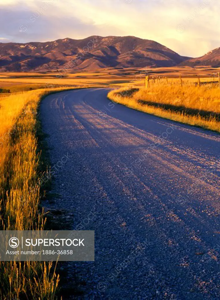 Gravel road curves through Gallatin Valley wheat fields, lit by warm sunset light in Montana, USA.