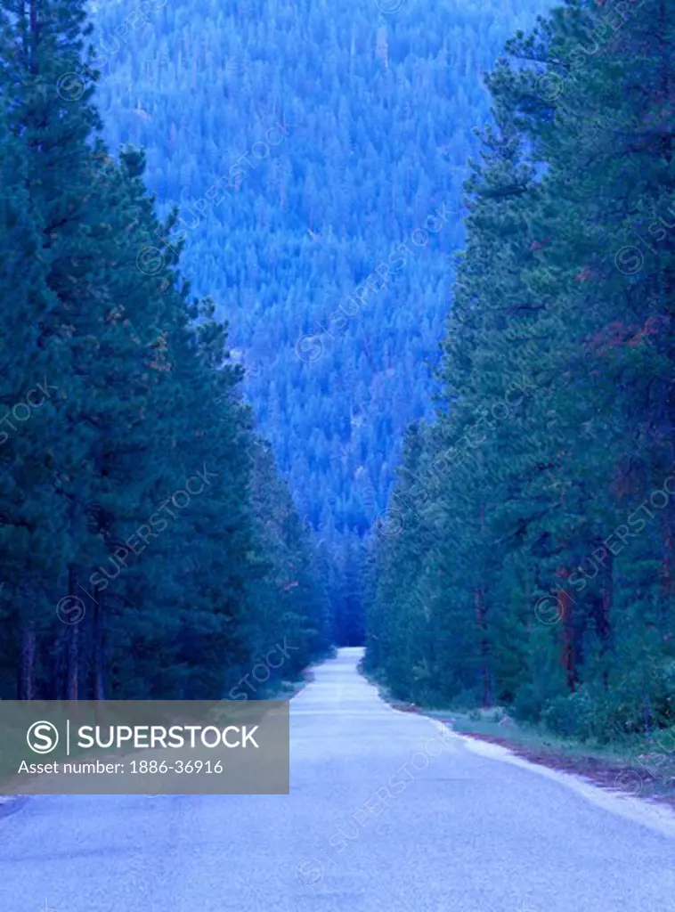 A tree lined paved US Forest Service road, Methow Valley, Okanogan National Forest, Washington State, USA.