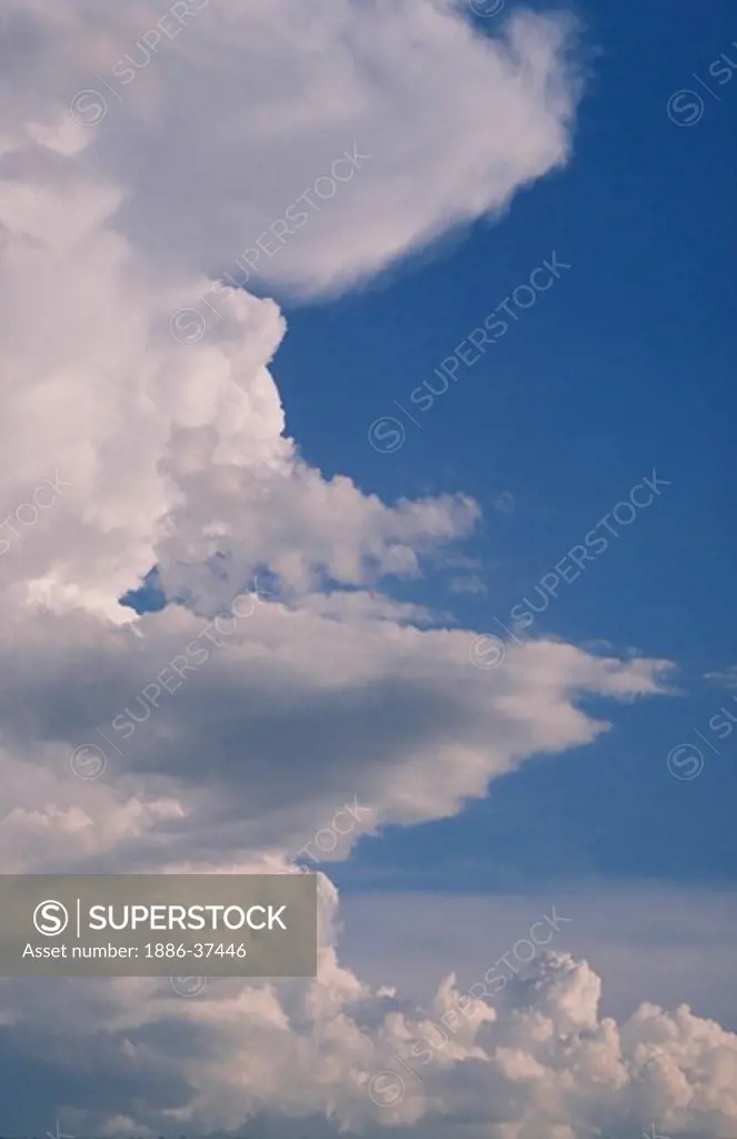Towering cumulonimbus thunderhead cloud in a blue summer sky.