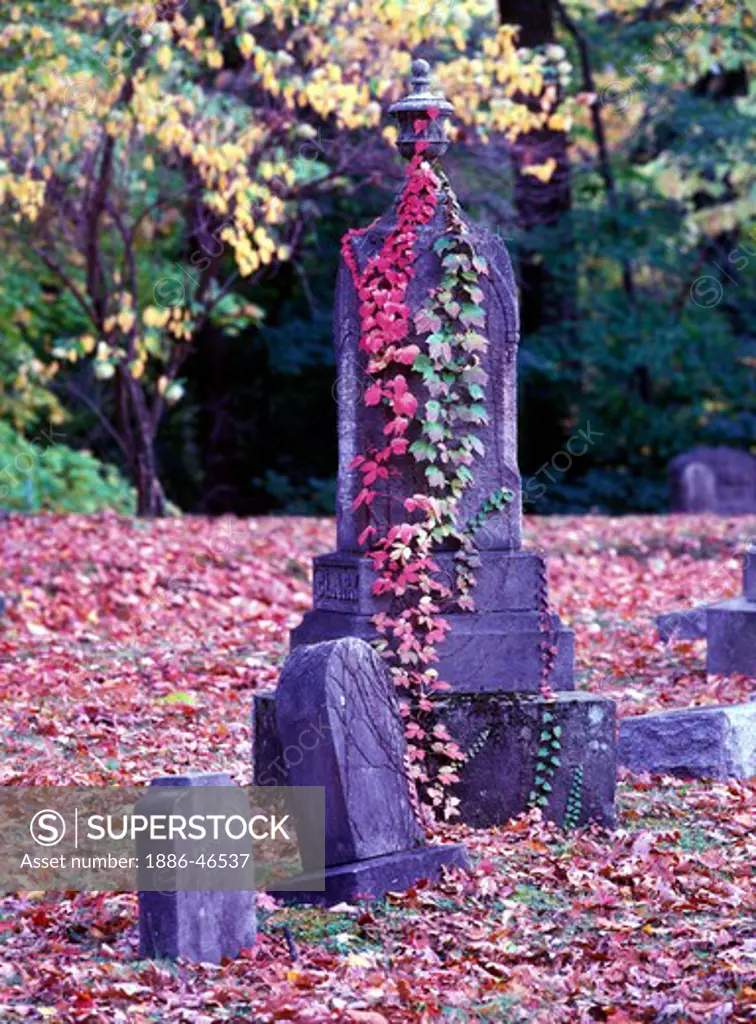 Gravestones in city graveyard and fall foliage, autumn, Meadville, Pennsylvania, USA