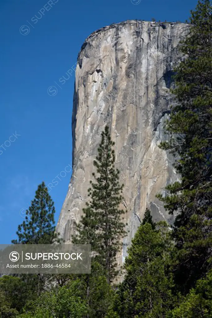 The granite face of EL CAPITAN in the YOSEMITE VALLEY is perhaps the greatest rock climbing mountain in the world - YOSEMITE NATIONAL PARK, CALIFORNIA