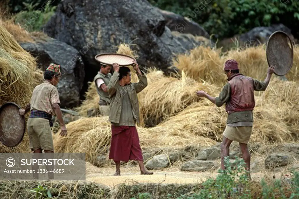 GURUNG VILLAGERS spread out their HARVEST to dry in the DORDI RIVER VALLEY - BODHA HIMAL, NEPAL