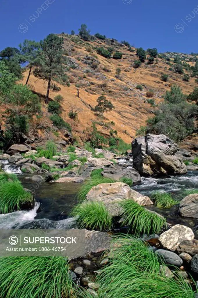 DAY HIKE up a north fork of the wild & scenic TOULOMNE RIVER - SIERRA NEVADA, CALIFORNIA