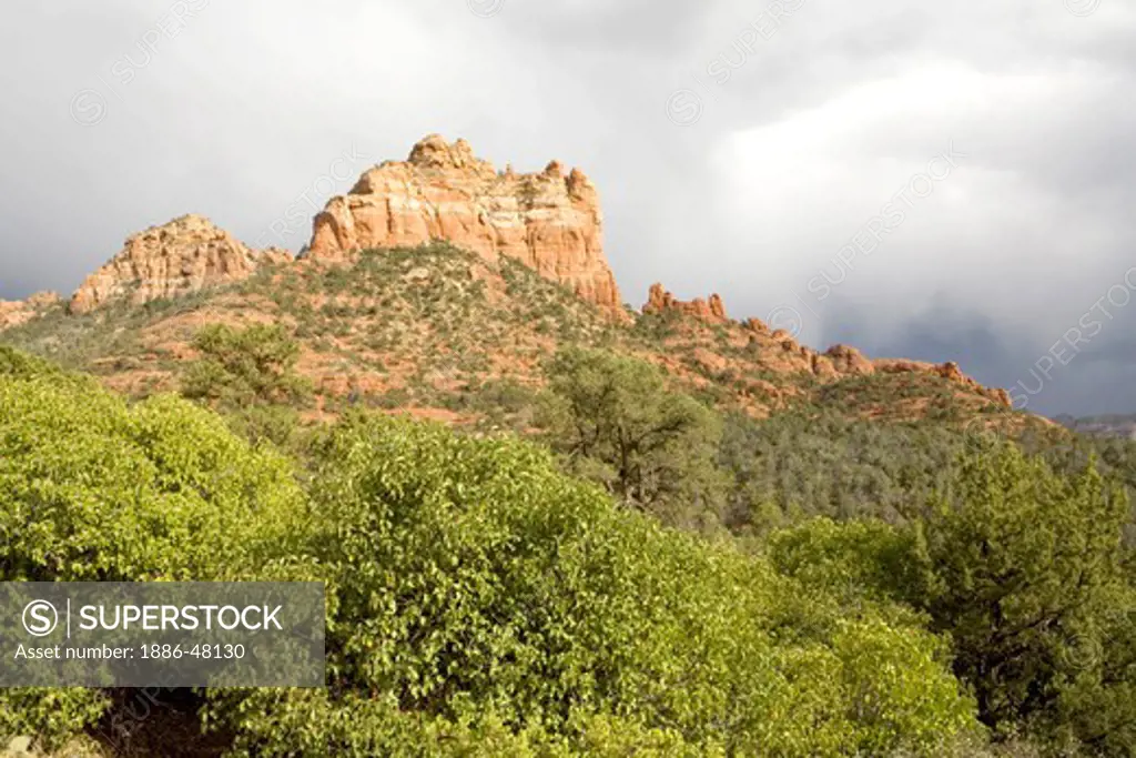 Red-rock landscape of Sedona ;  U.S.A. United States of America