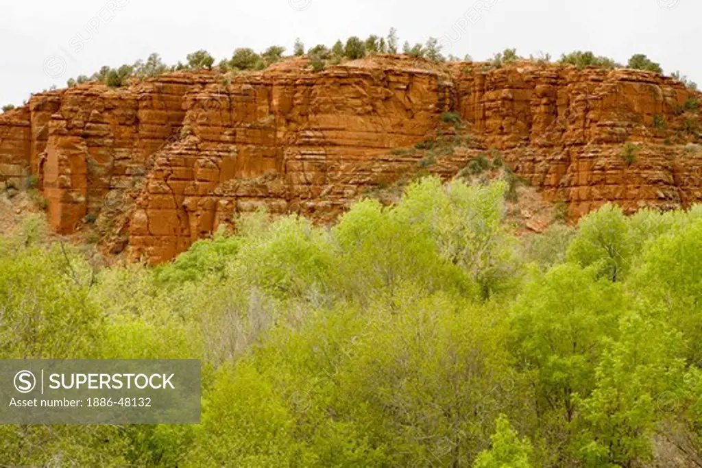 Red sandstone mountains and stream on the way to Sedona ; U.S.A. United States of America