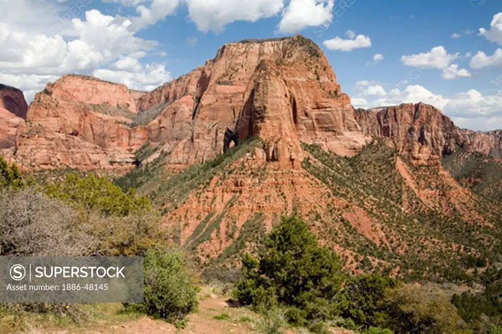 Red sandstone mountains of the Kolob canyon ;  Zion canyon national park ;  U.S.A. United States of America