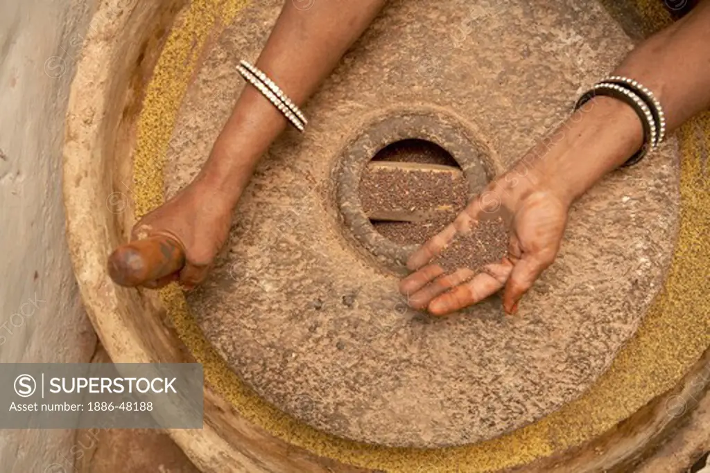 A woman using stone grinding wheel to split mustard seed before putting in the oil pressing mill ; Rajasthan ; India