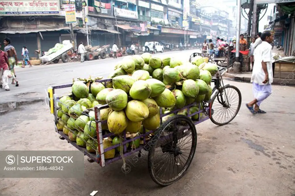 Street scene ; cycle rickshaw carrying coconut ; Calcutta now Kolkata ; West Bengal ; India