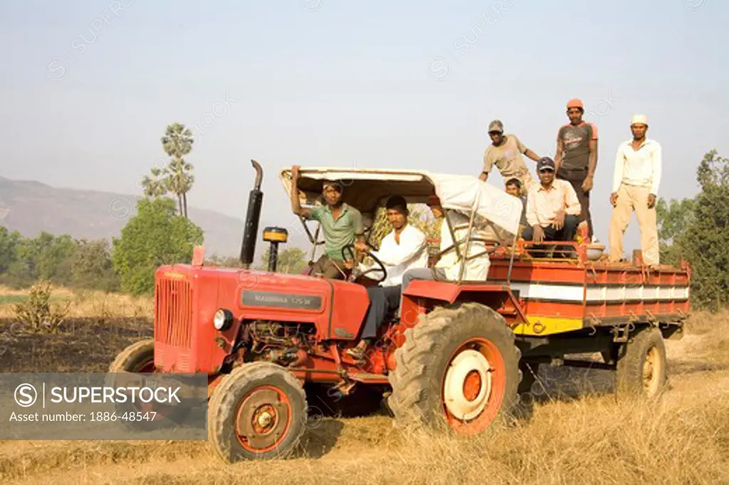 Farmers sitting in red tractor ; Karjat ; Maharashtra ; India
