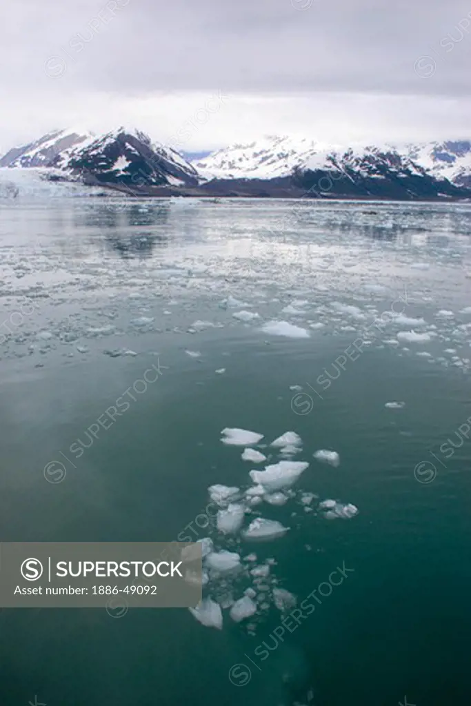 Iceberg near Hubbard glacier; The longest tidewater glacier in Alaska ; Saint Elias  national park ; Disenchantment bay ; Alaska ; U.S.A. United States of America