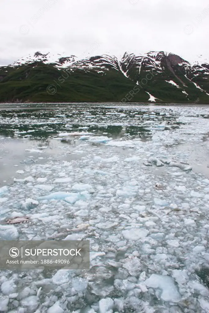 Iceberg near Hubbard glacier; The longest tidewater glacier in Alaska ; Saint Elias  national park ; Disenchantment bay ; Alaska ; U.S.A. United States of America