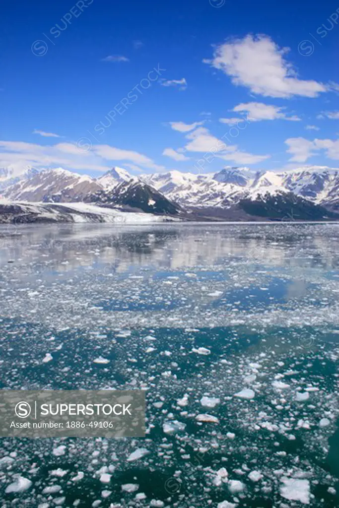 Icebergs with Hubbard glacier and saint Elias mountain ;  The longest tidewater glacier in Alaska ; Saint Elias  national park ; Disenchantment bay ; Alaska ; U.S.A. United States of America