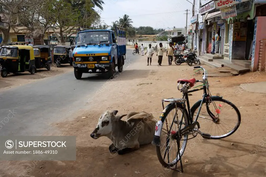 Cow Seated On Road ; Fruits Stall ; Kamalapur ; Hampi ; Vijayanagara (1336-1726 A.D.) ; UNESCO World Heritage Site ; Deccan Plateau ; Taluka Hospet ; District Bellary ; State  Karnataka ; India