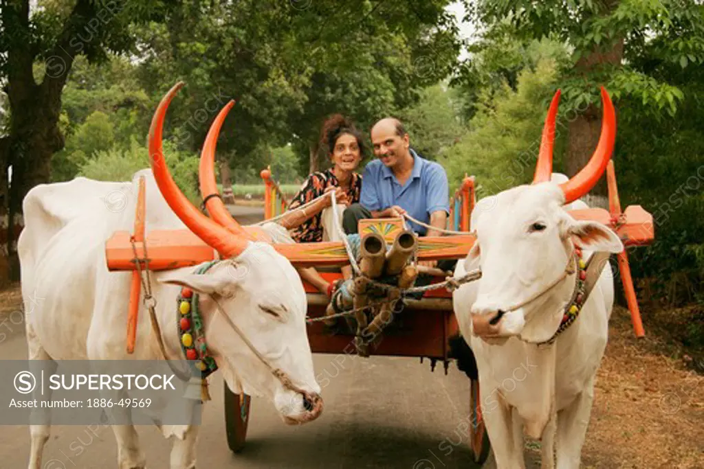 South Asian Indian middle-aged couple enjoying bullock cart ride ; Wai ; Maharashtra ; India MR#189;686F
