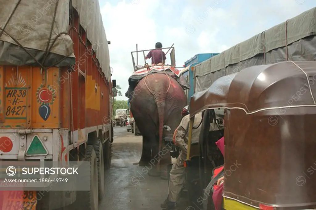 Elephant with Mahut on the eastern express highway near Mulund ; Bombay Mumbai ; India ; NO MR