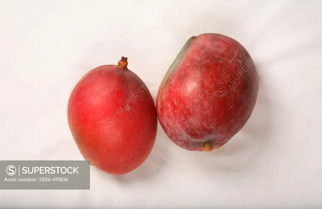 Fruit ; Red Mangos ; Sweet ; Sour test ; Colourful ; India