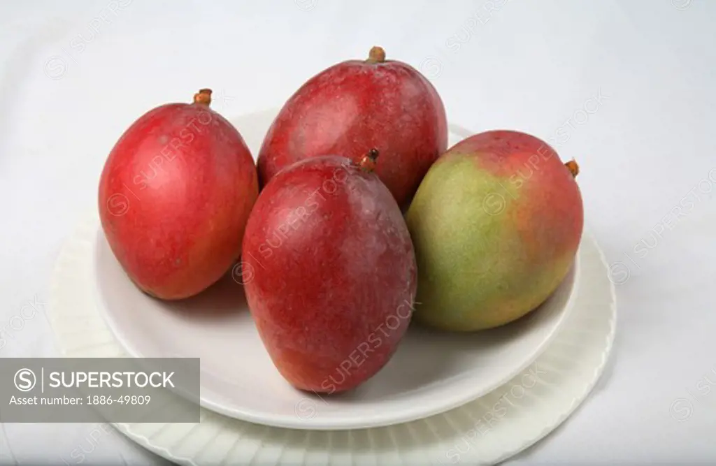 Fruit ; Red Mangos ; Sweet ; Sour test ; Colourful ;  India