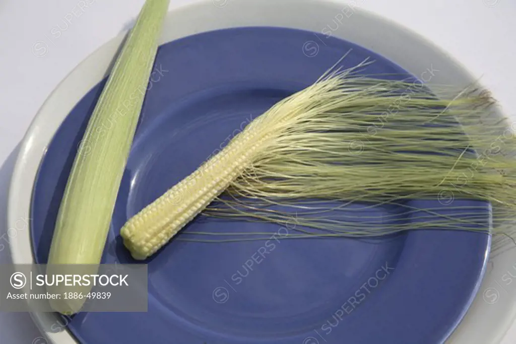 Crop ; Baby Corn kept in blue plate ; Maize ; Zea mays ; Used in Salads or vegetables ; India