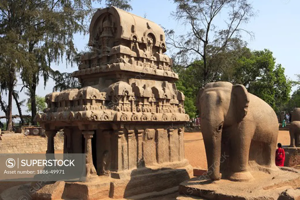 Nakul Sahadeva Ratha and Elephant statues and Pancha Rathas carved during the reign of King Mamalla (Narasimhavarman I; c. 630 - 670) Monolith rock carving temples ; Mahabalipuram ; District Chengalpattu ; Tamil Nadu ; India UNESCO World Heritage Site