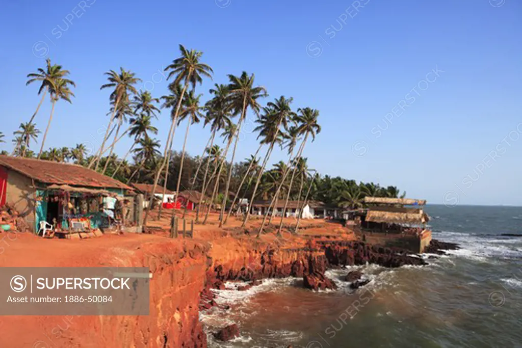 Anjuna beach and palms trees ; Goa ; India
