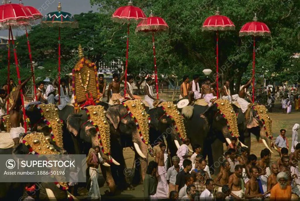Elephant Festival, India