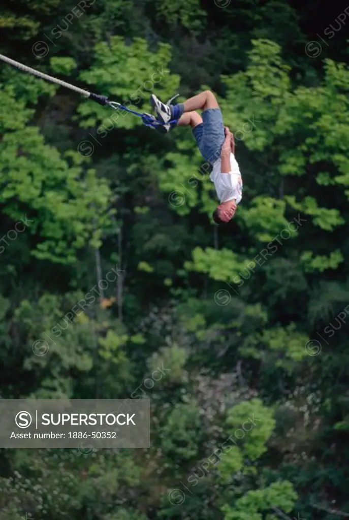 Man falling upside down after bungee jumping in Queenstown, South Island, New Zealand.