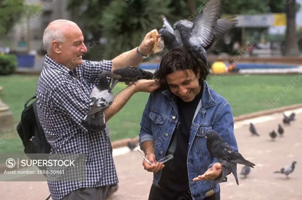 MEN FEEDING PIGEONS in PLAZA DE MAYO in the MICROCENTER district - BUENOS AIRES, ARGENTINA