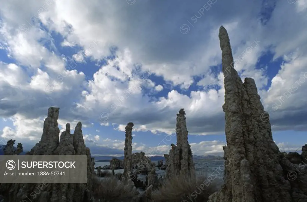 Storm clouds form over MONO LAKE at SOUTH TUFA GROVE in this National Scenic Area