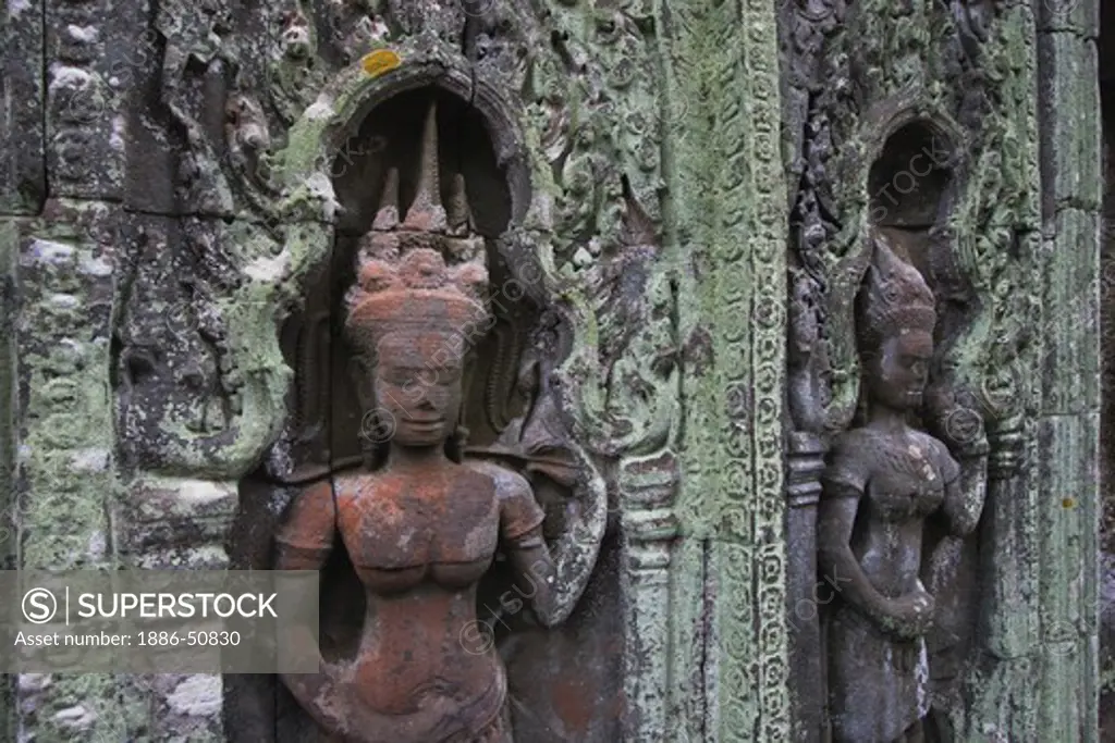 Lichen grows on stone carved bas relief  Apsaras (celestial maidens) at Ta Prohm, built by Jayavarman VII & part of the  Angkor Wat temple complex - Siem Reap, Cambodia