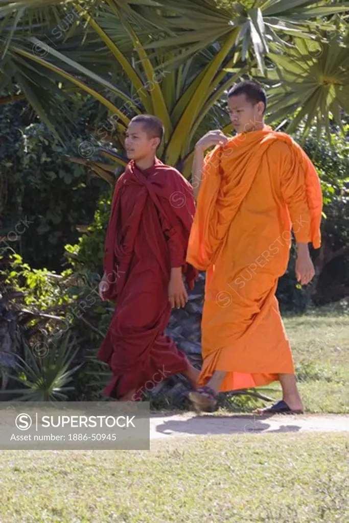 Cambodian Buddhist monks in orange robes at Angkor Wat -  Cambodia