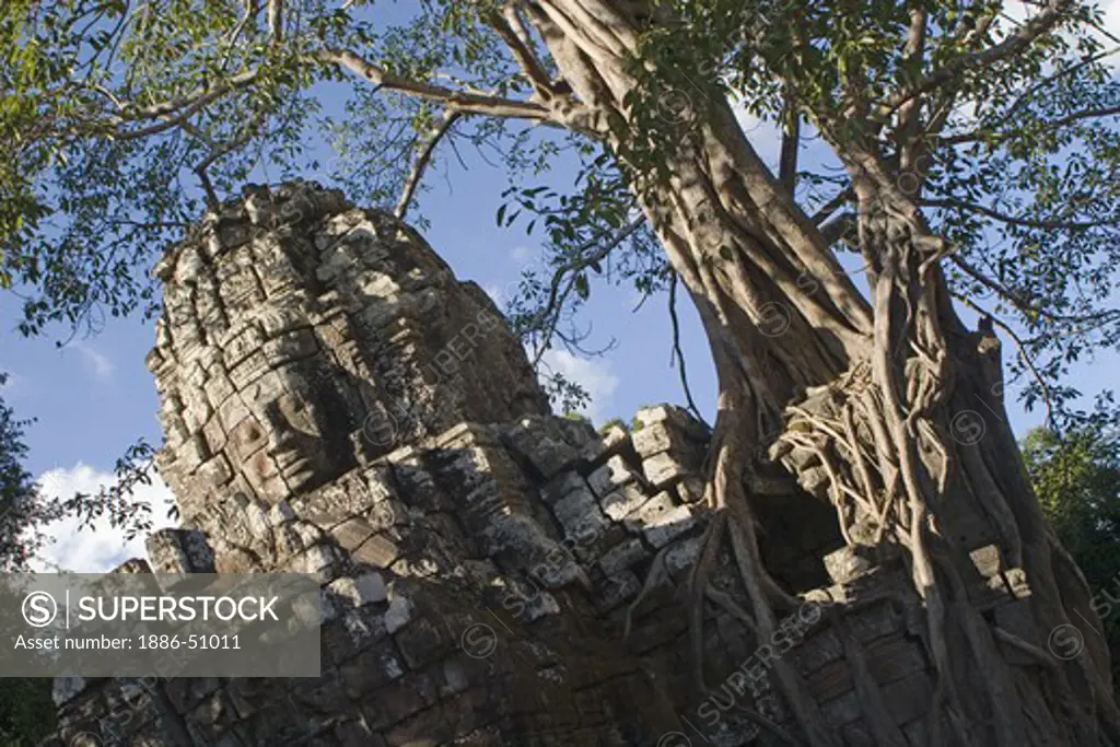 A Strangler Fig encroaches on the face tower of Gopura 3 east at Ta Som, built by Jayavarman VII in the 12th century - Angkor Wat, Siem Reap, Cambodia