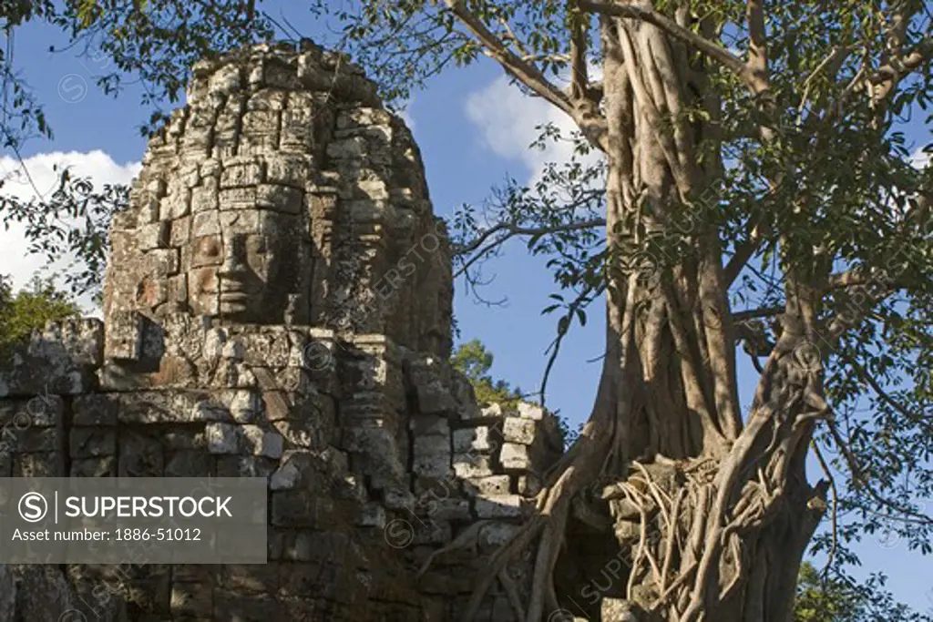 A Strangler Fig encroaches on the face tower of Gopura 3 east at Ta Som, built by Jayavarman VII in the 12th century - Angkor Wat, Siem Reap, Cambodia
