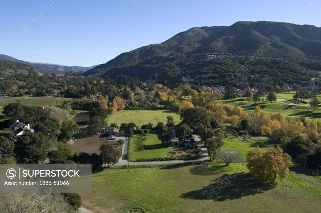 Deciduous trees turn yellow during autumn in a rural neighborhood - CARMEL VALLEY, CALIFORNIA