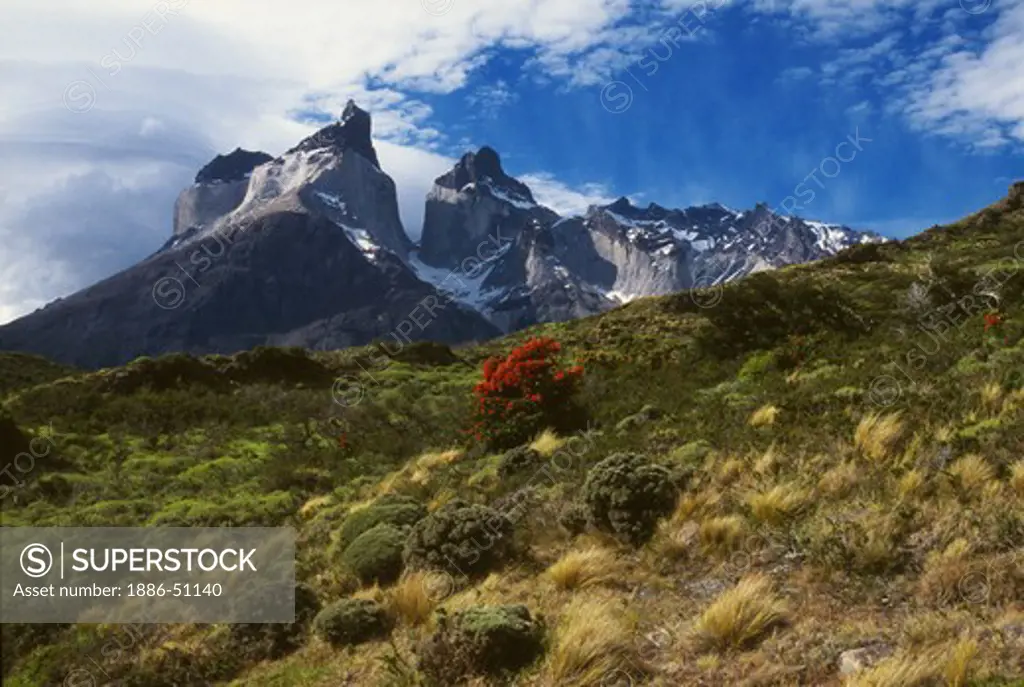 CUERNOS DEL PAINE (THE HORNS OF PAINE) in TORRES DEL PAINE NP - PATAGONIA, CHILE