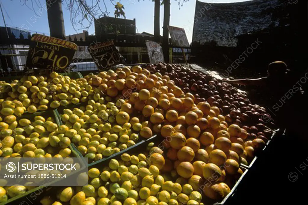 LEMONS, ORANGES & APPLES are offered for sale at the CENTRAL MARKET (MERCADO CENTRAL)  - SANTIAGO, CHILE