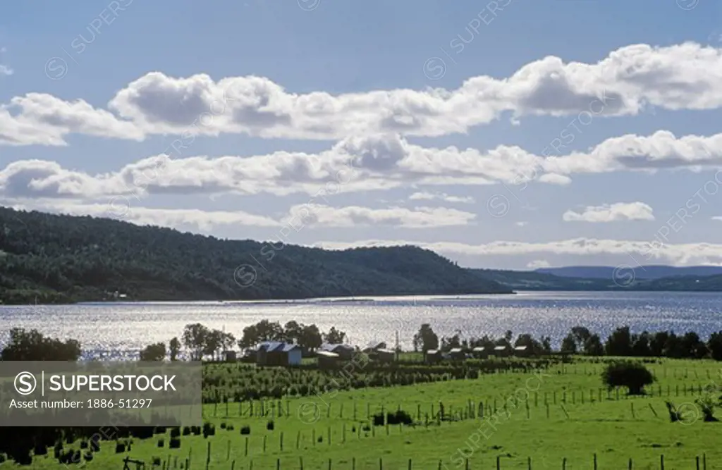 Inlet and FARM LAND on pastoral CHILOE ISLAND - CHILE