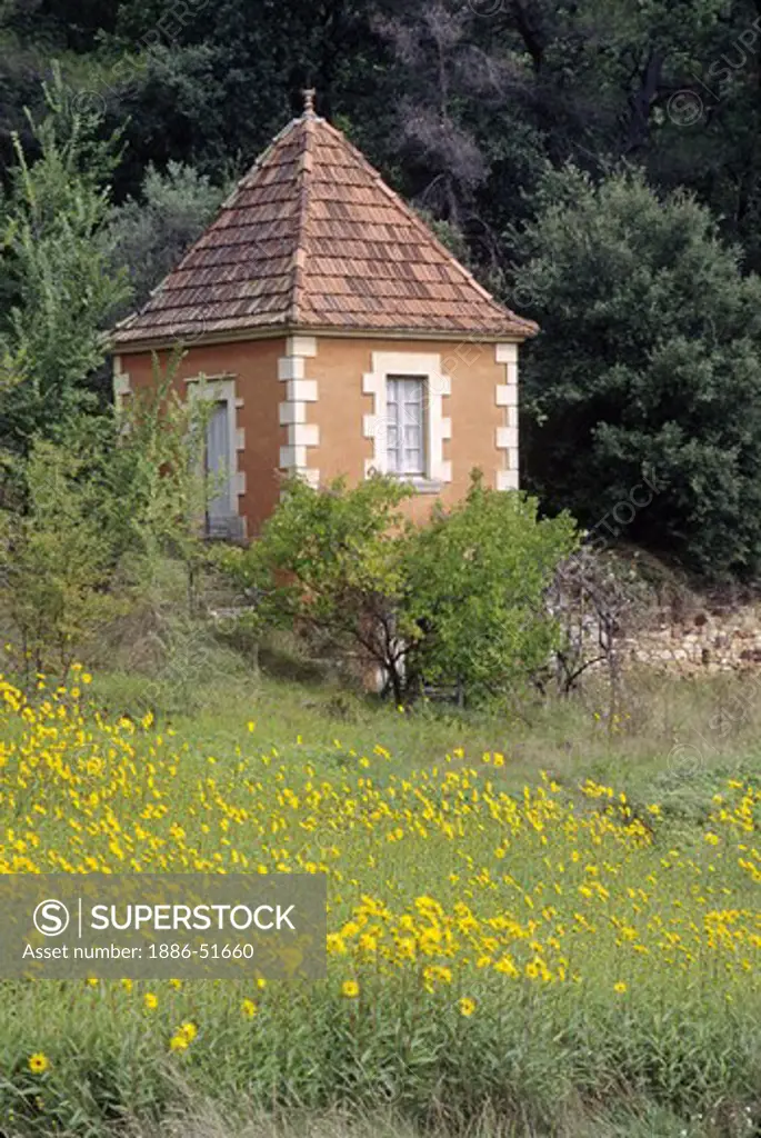 Yellow wildflowers & small 'sitting' room - PROVENCE, FRANCE