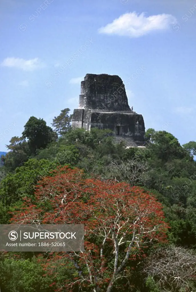 A view of MAYA TEMPLE IV, rising 212 ft. tall, from the summit of the LOST WORLD TEMPLE - TIKAL, GUATEMALA