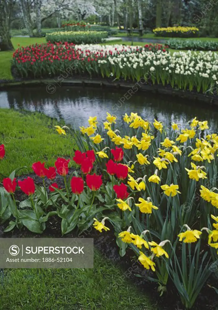 The KUKENHOFF GARDENS grow every kind of TULIP imaginable & other bulbs, plants & trees as well - THE NETHERLANDS