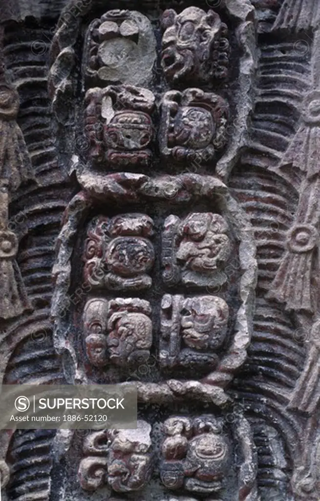 Detail of STELA F, with a double row of MAYAN GLYPHS telling the ruling history of COPAN - COPAN RUINS, HONDURAS