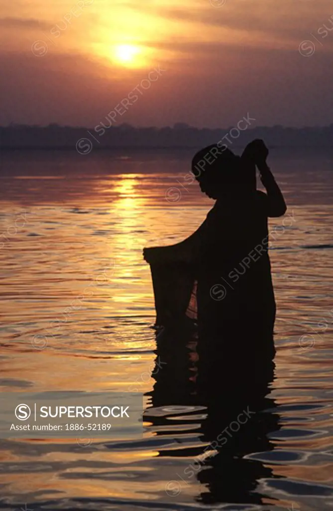 A faithful HINDU WOMAN bathes and performs ablutions in the GANGES RIVER at SUNRISE - VARANASI (BENARES), INDIA