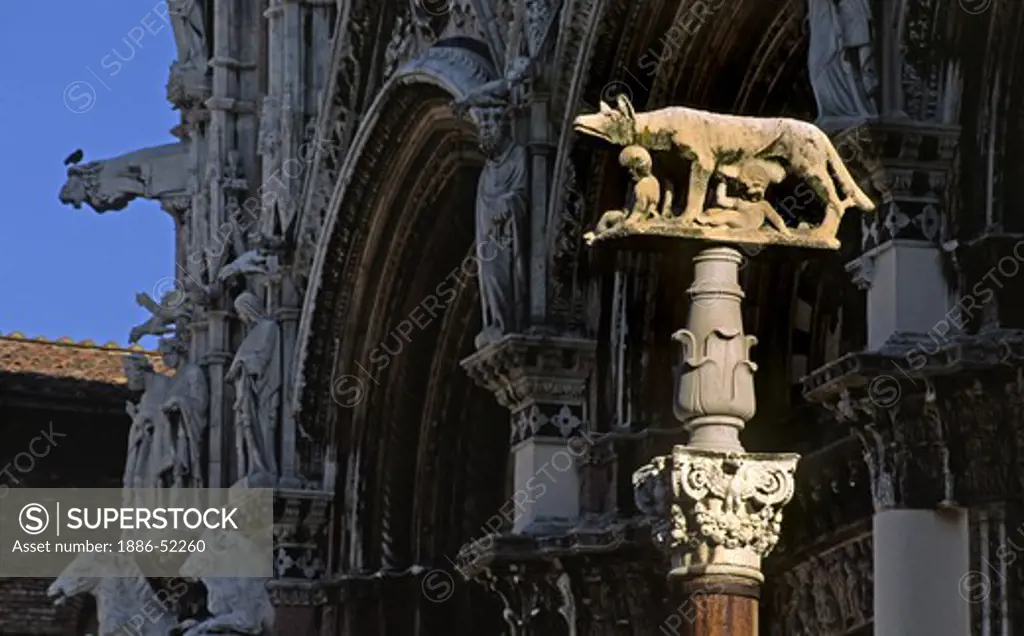 Stone carving on ROMULUS & REMUS with wolf mother stand on a pillar in front of SIENA'S CATHEDRAL - TUSCANY, ITALY